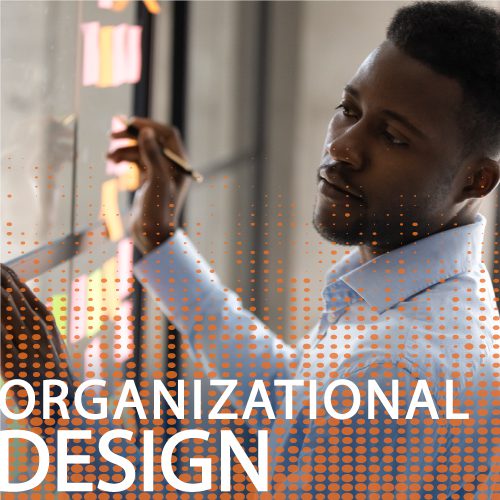 Organizational Design